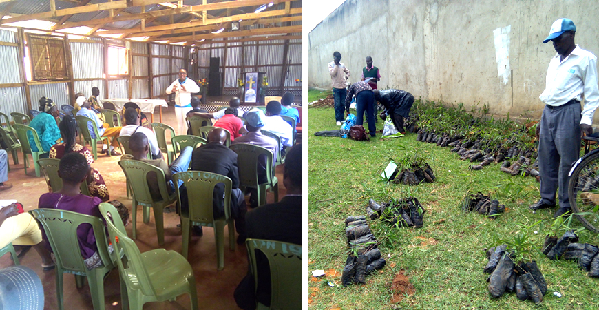 LEFT: Farmers participate in the bamboo farming sensitisation workshop.   RIGHT: Trainees receive bamboo seedlings to plant on their farms.