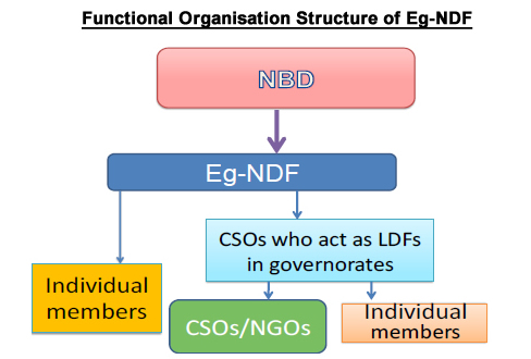 Functional Organisation Structure of Eg-NDF