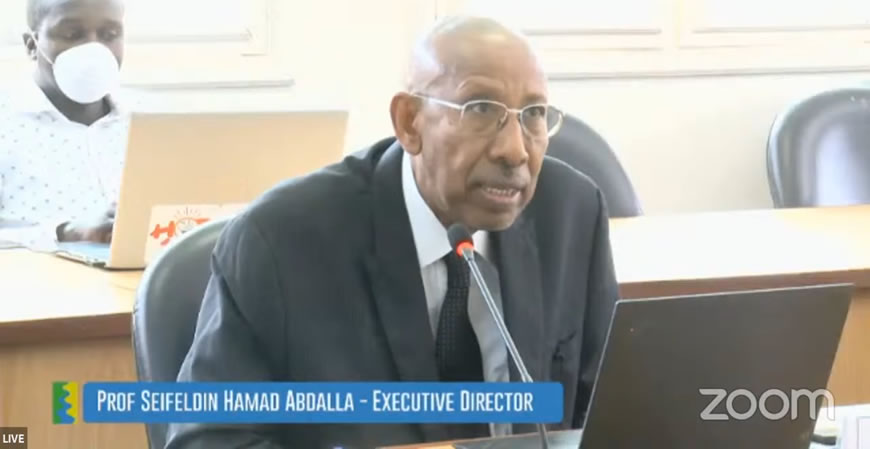 Prof. SEIFELDIN Hamad Abdalla, the NBI Executive Director